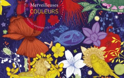 Nathalie Béreau and Michaël Cailloux  Merveilleuses couleurs / Beautiful colors