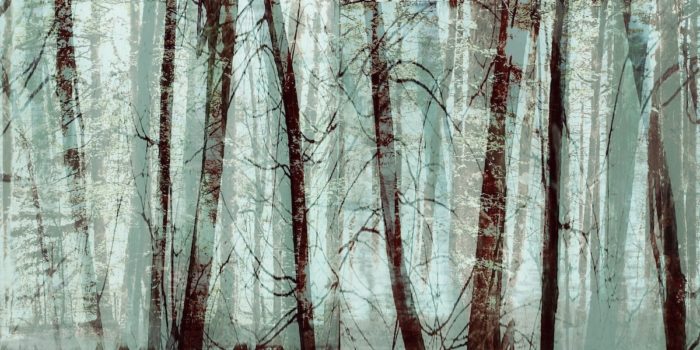 Frédérique Bouet <br>Série Arbres – Image 4