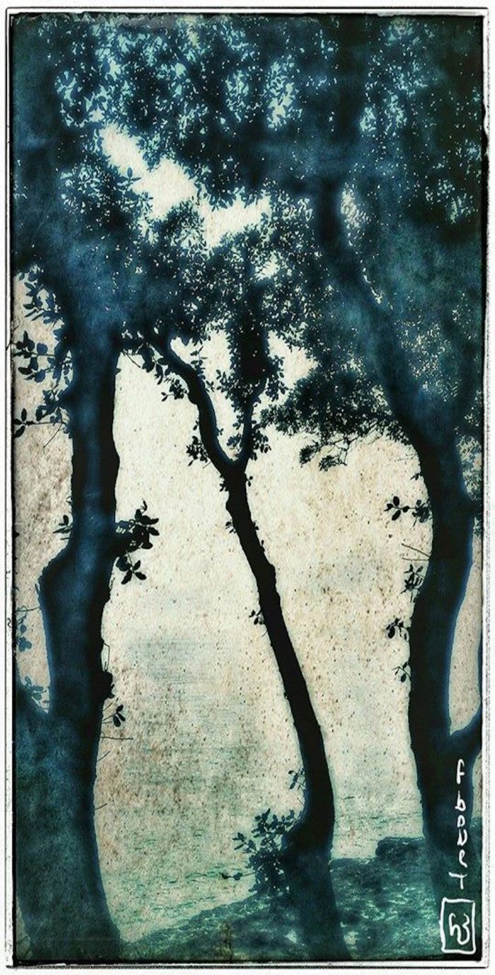 Frédérique Bouet <br>Série Arbres – Image 3