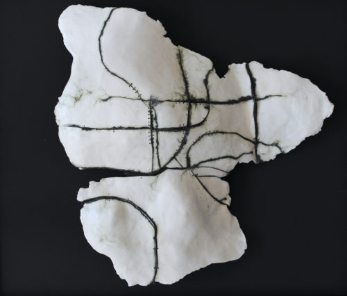 Anne Laval <br> Paysage fossile