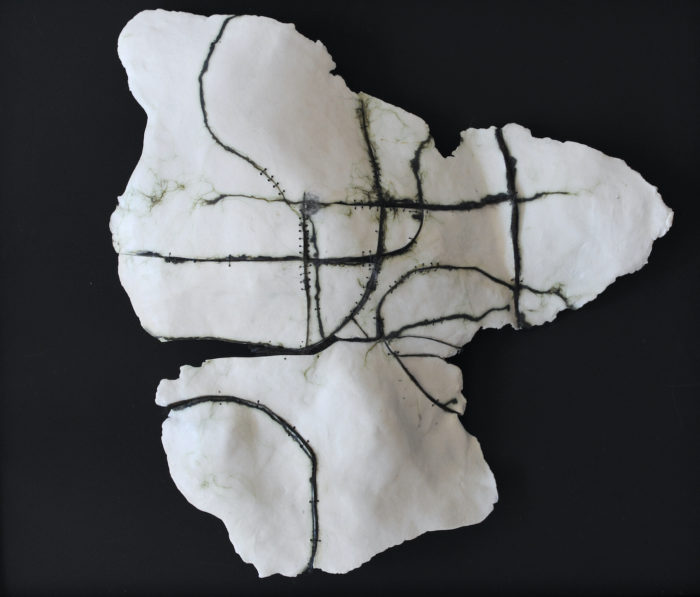 Anne Laval <br> Fossile landscape