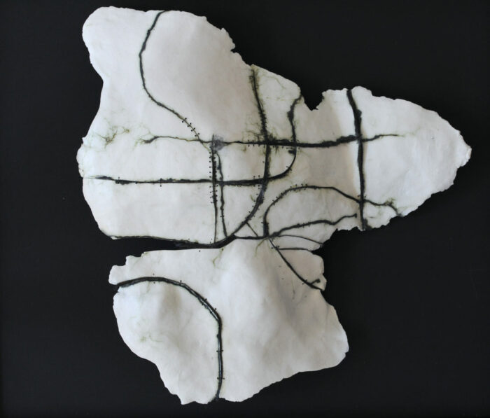 Anne Laval <br> Paysage fossile