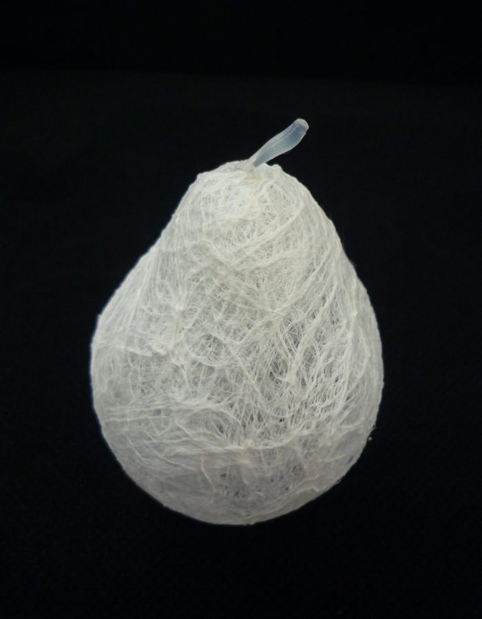 Miki Nakamura <br> Poire
