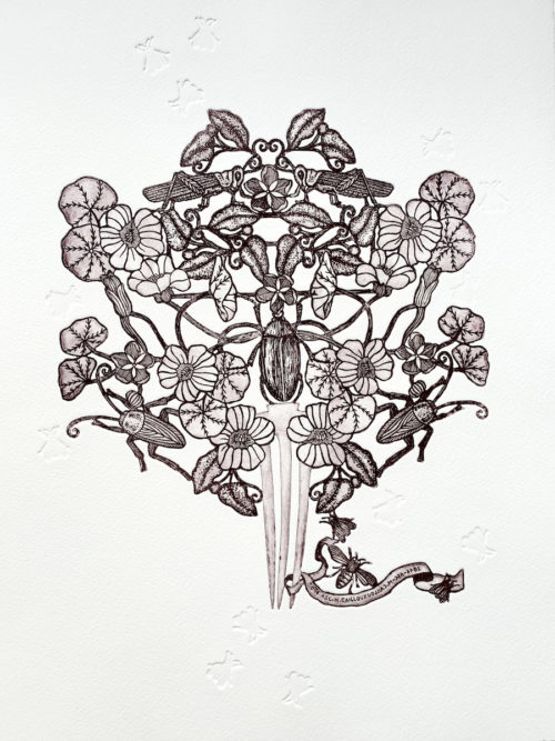 Michaël Cailloux <br> Le chant des cigales