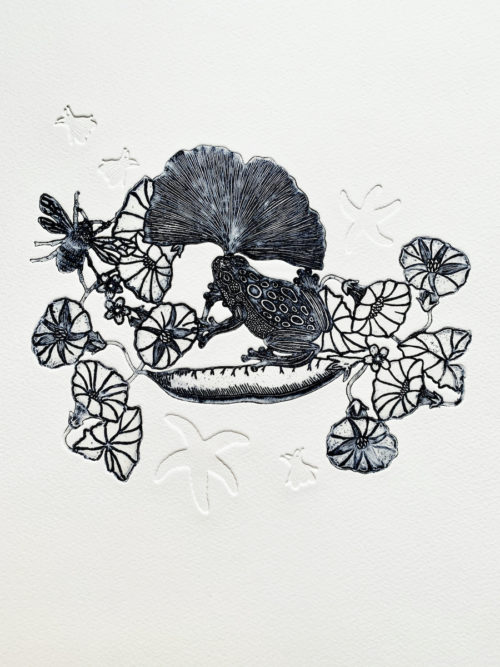 Michaël Cailloux <br> Le haricot volant