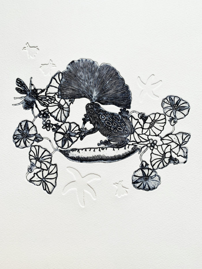 Michaël Cailloux <br> Le haricot volant