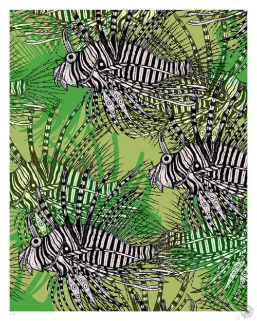 Michaël Cailloux <br> Fish in the mirror