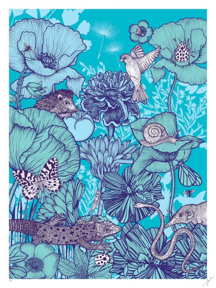 Michaël Cailloux <br> La planète bleue