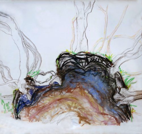 Arnaud Franc <br> Le cirque des arbres