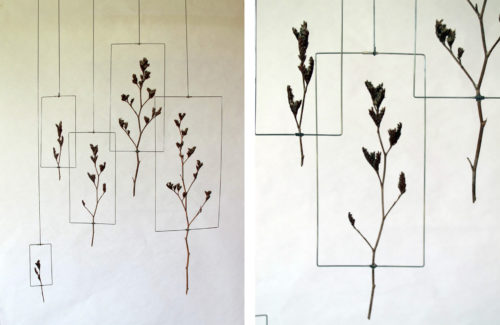 Carole Marchais<br> Fleurs en mode majeur