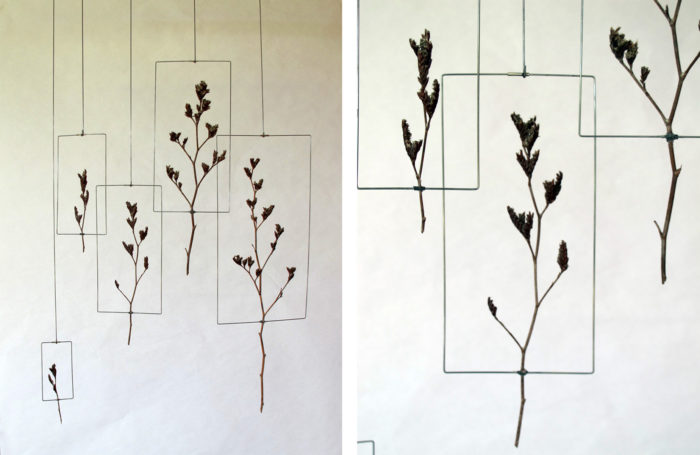 Carole Marchais<br> Fleurs en mode majeur