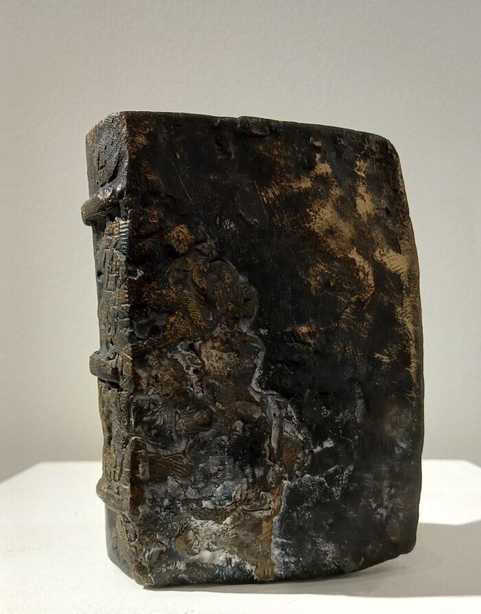 Colette Grandgérard <br> Livre Petite archéologie