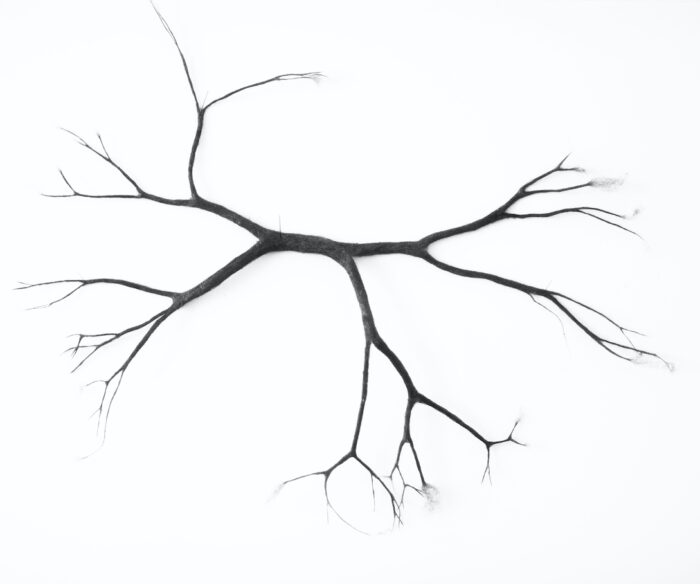 Anne Laval <br> Arbre de poussière