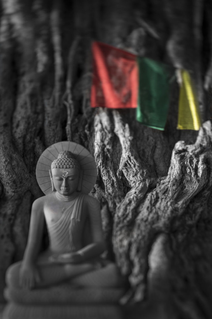 Jean-Christophe Ballot <br> Bouddha / série – Image 16