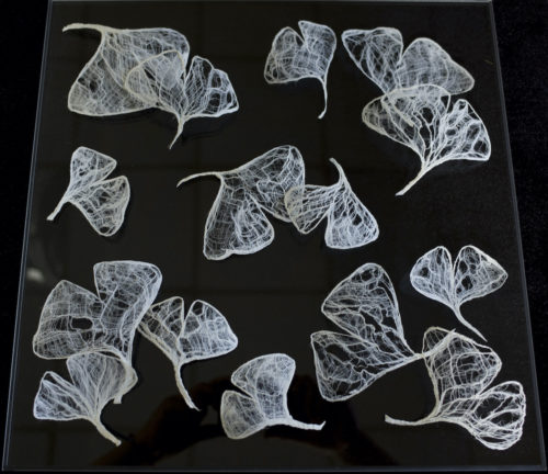 Miki Nakamura <br> Feuilles de Ginkgo Biloba