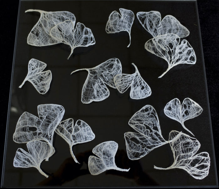 Miki Nakamura <br> Feuilles de Ginkgo Biloba