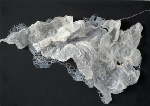 Anne Laval <br> Brume #4
