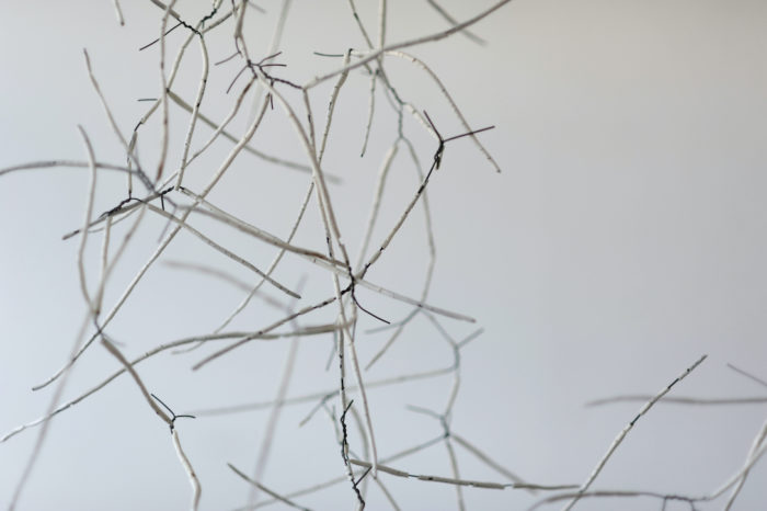 Anne Laval <br> Forêt d'ossements – Image 4
