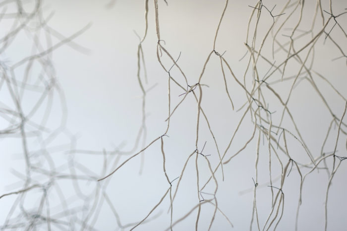Anne Laval <br> Forêt d'ossements – Image 3