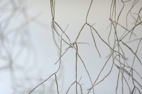 Anne Laval <br> Forêt d'ossements