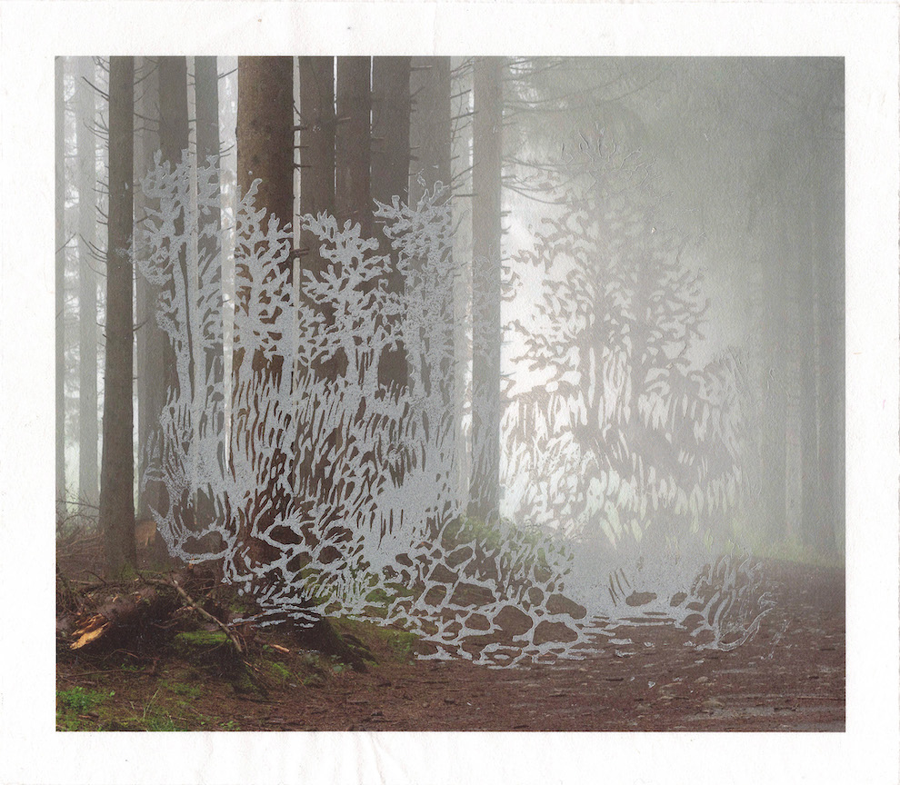 Territoires exhibition