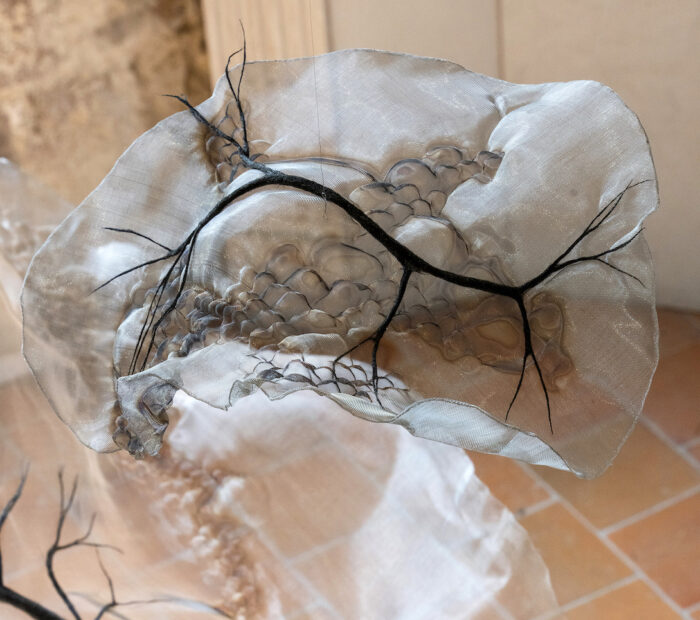 Anne Laval <br> Paysage perdu PF3 – Image 2