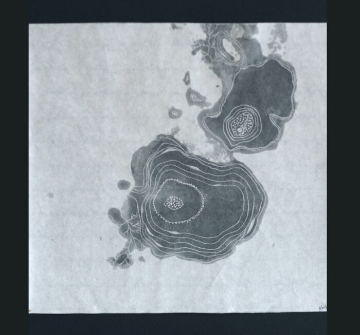 Anne Laval <br> Monde perdu #5
