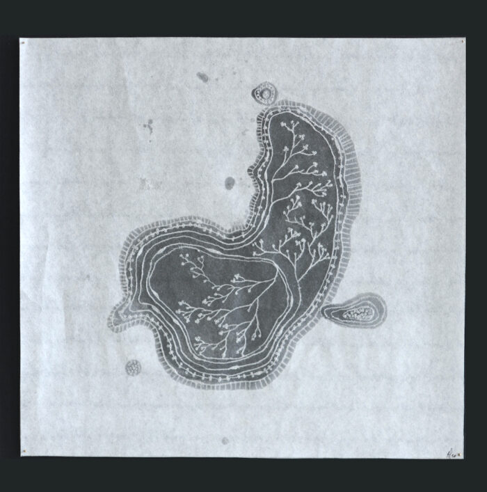Anne Laval <br> Monde perdu #8