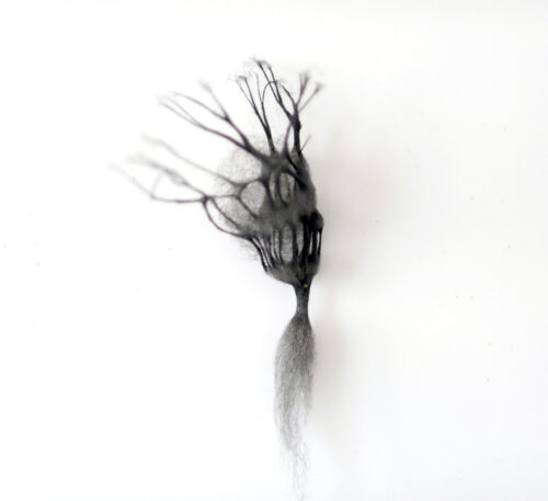 Anne Laval <br> Pousse de poussière 2