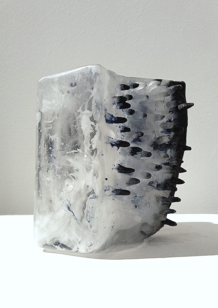 Colette Grandgérard <br> Livre Porc épic 2 – Image 2