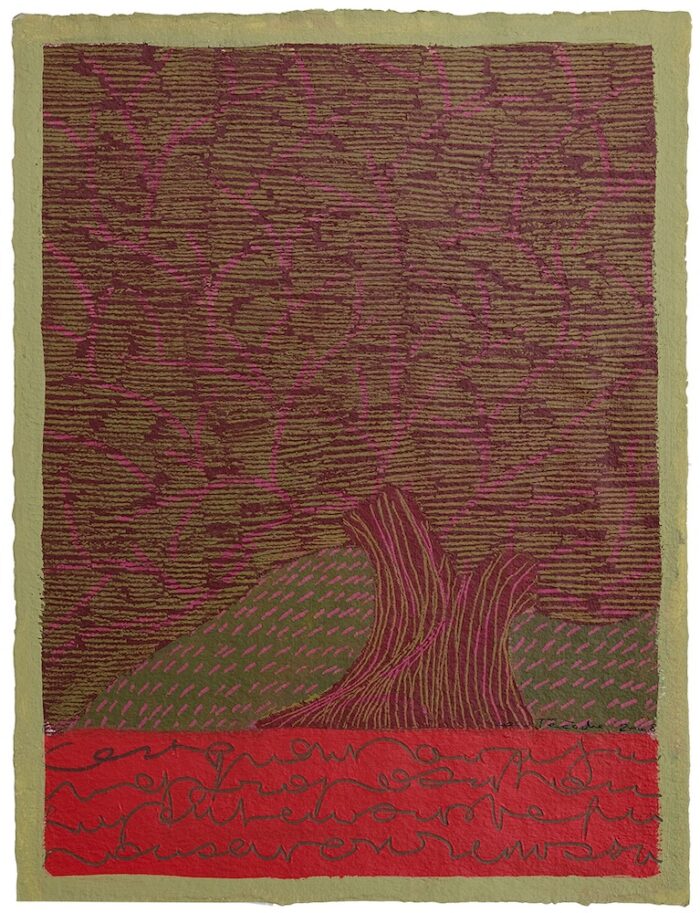 Coco Téxèdre <br> Arbre