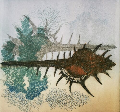 Xecon Uddin <br> Jardin de la mer / Série - 12