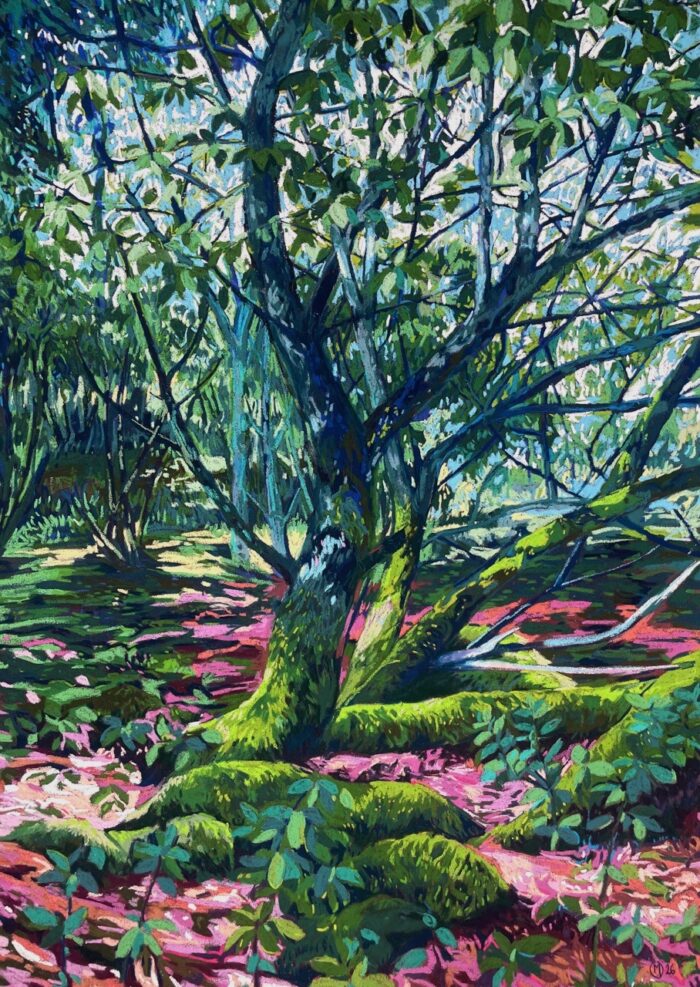 Solenn Marrel <br> Blue-Pink Tree Portrait 1