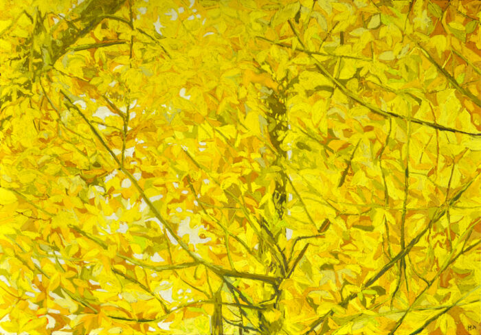 Solenn Marrel <br> Arbre jaune – Image 2