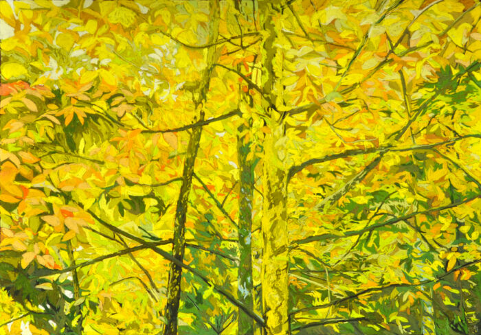 Solenn Marrel <br> Arbre jaune – Image 3