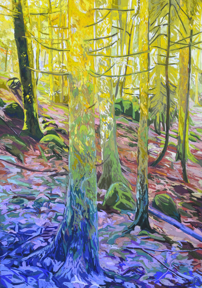Solenn Marrel <br> Intérieur de la forêt n°6