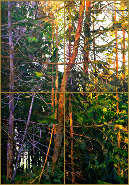 Solenn Marrel <br> Intérieur forêt, violet