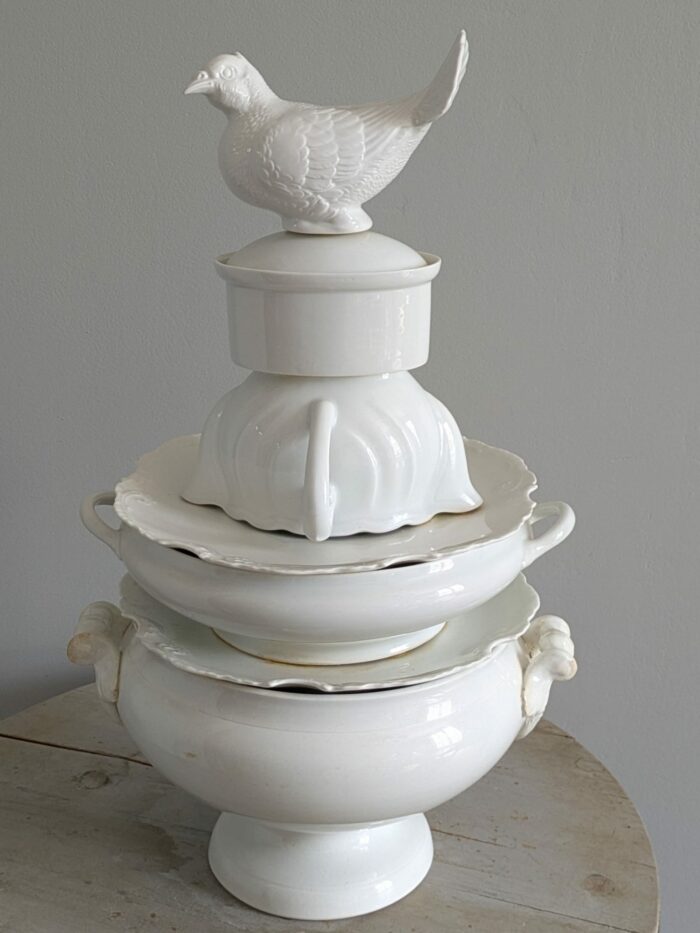 Véronique Pineau <br> Pigeonnier