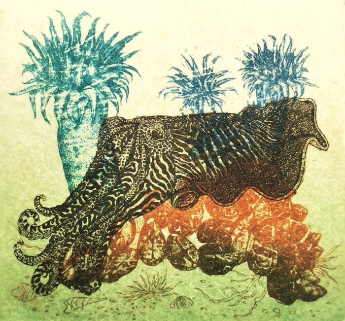 Xecon Uddin <br> Jardin de la mer / Série - 13
