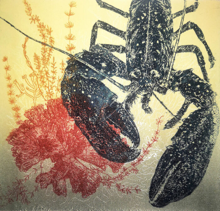 Xecon Uddin <br> Jardin de la mer / Série - 14