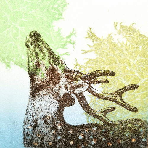 Xecon Uddin <br> L'Odyssée sauvage / Série – 2