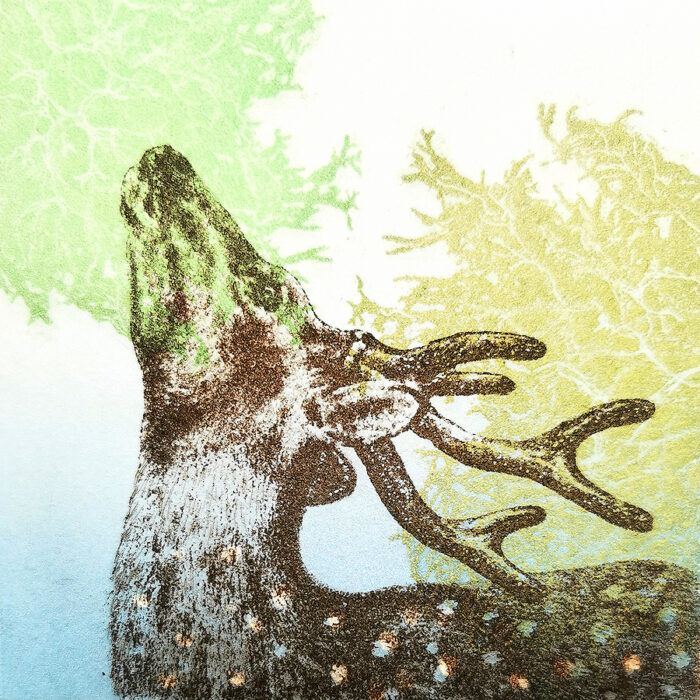 Xecon Uddin <br> L'Odyssée sauvage / Série – 2