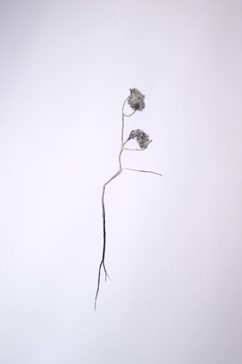 Anne Laval <br> Nature fantôme/Ghost Nature 9