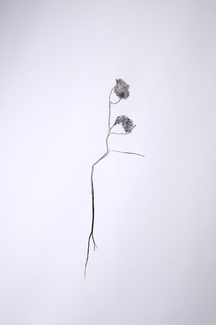 Anne Laval <br> Nature fantôme 9