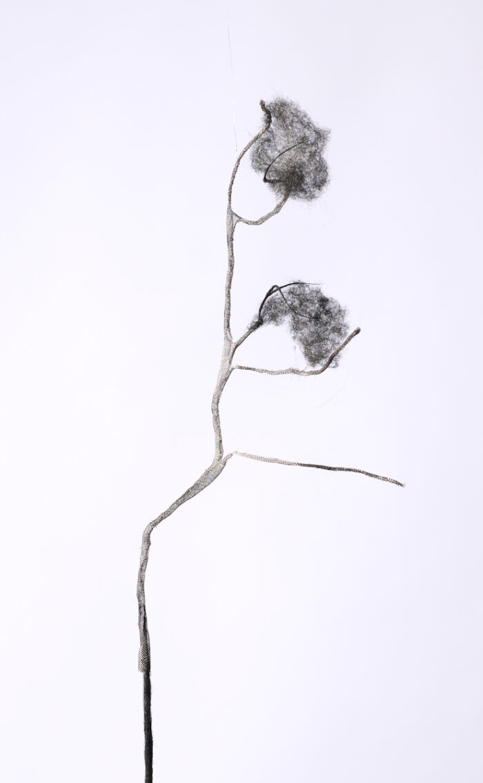 Anne Laval <br> Nature fantôme 9 – Image 2