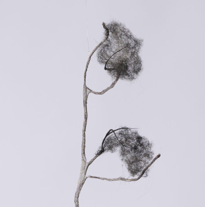 Anne Laval <br> Nature fantôme 9 – Image 3