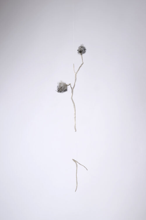 Anne Laval <br> Nature fantôme 8