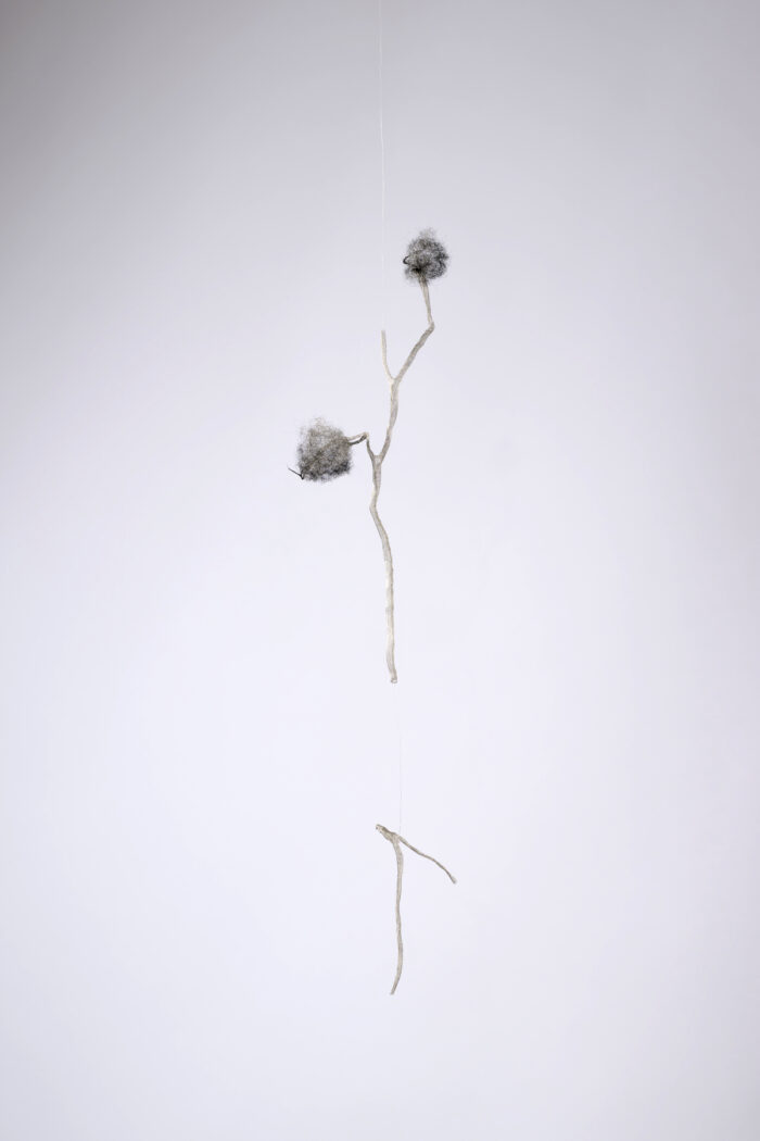 Anne Laval <br> Nature fantôme 8