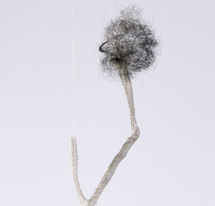 Anne Laval <br> Nature fantôme 8 – Image 3