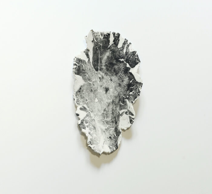 Anne Laval <br> Paésine 1
